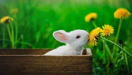 九游娱乐平台-张伟丽与粉丝互动大方分享护肤心得，张伟丽化妆