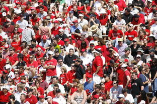 九游官网入口活动-高校体育赛事观众体验提升策略研究，体育赛事审美体验